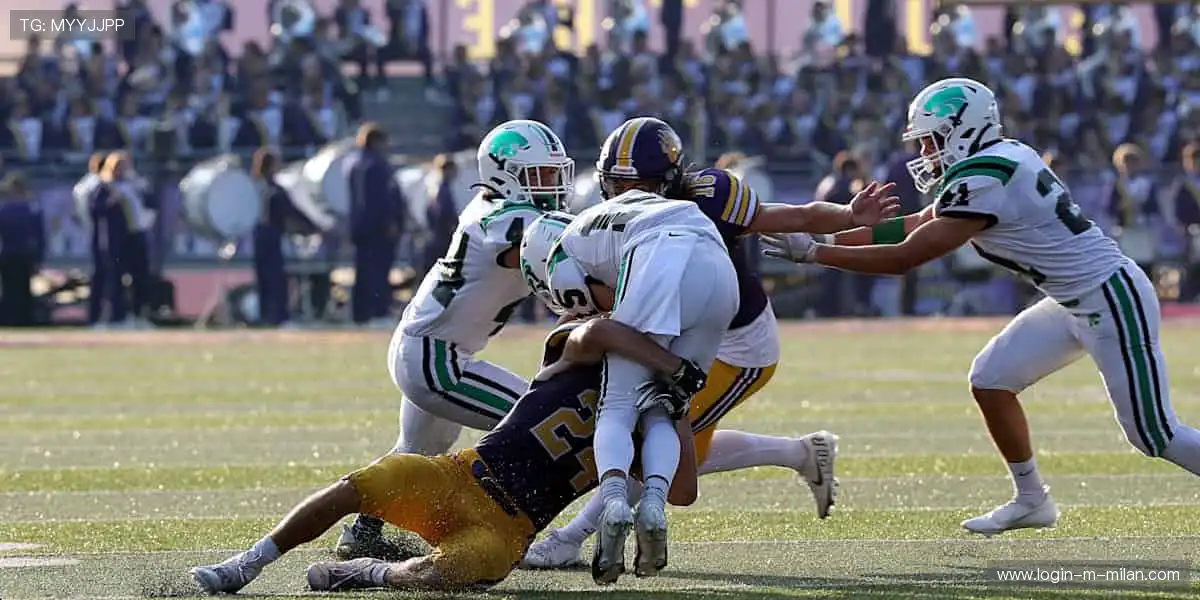 📱 弹幕互动，让观赛更有温度！