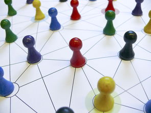 米兰体育官网入口-中国篮球教练员领导力培养路径，中国篮球协会篮球教练员等级